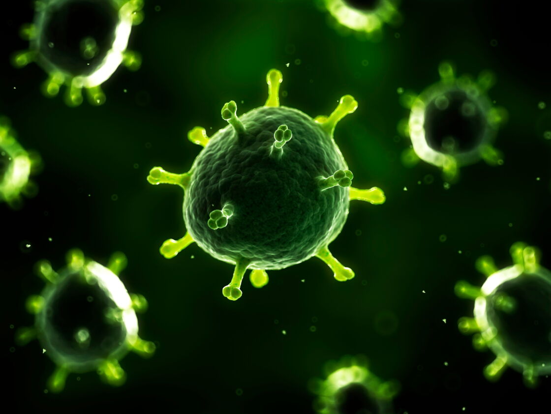 Due to climate change, these rare viruses are being discovered