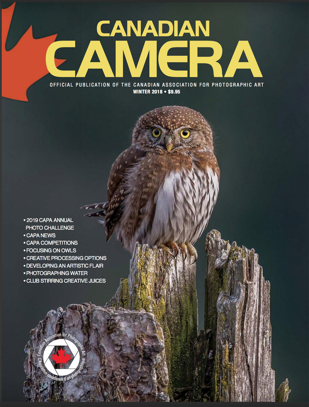 Canadian Camera Magazine Canadian Association for Photographic Art l