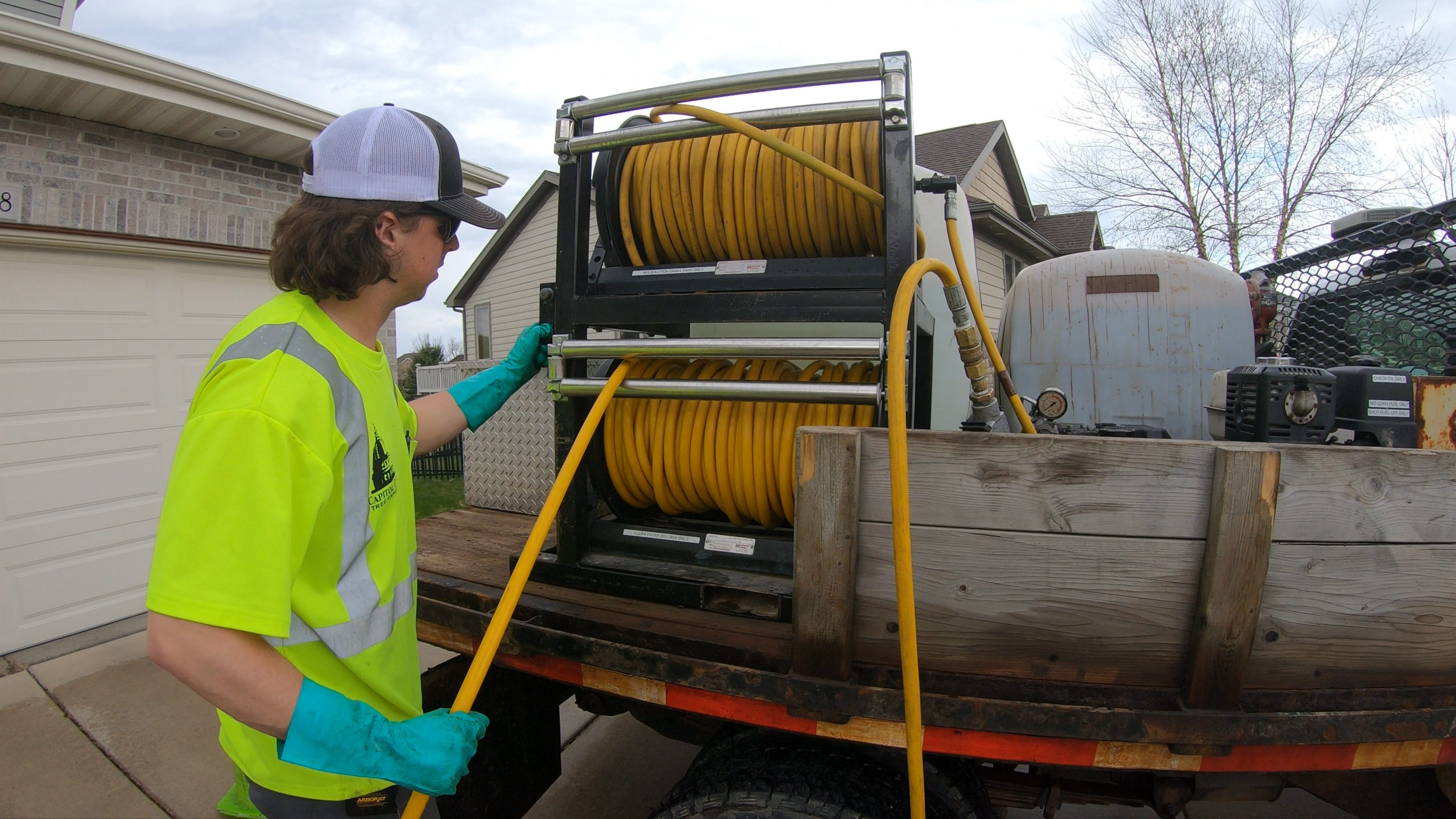 Oak Wilt Disease Treatment Madison's 1 Tree Care Co.