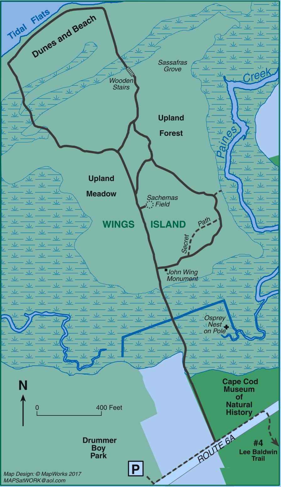 3 great dog walks on Cape Cod capebeachdog