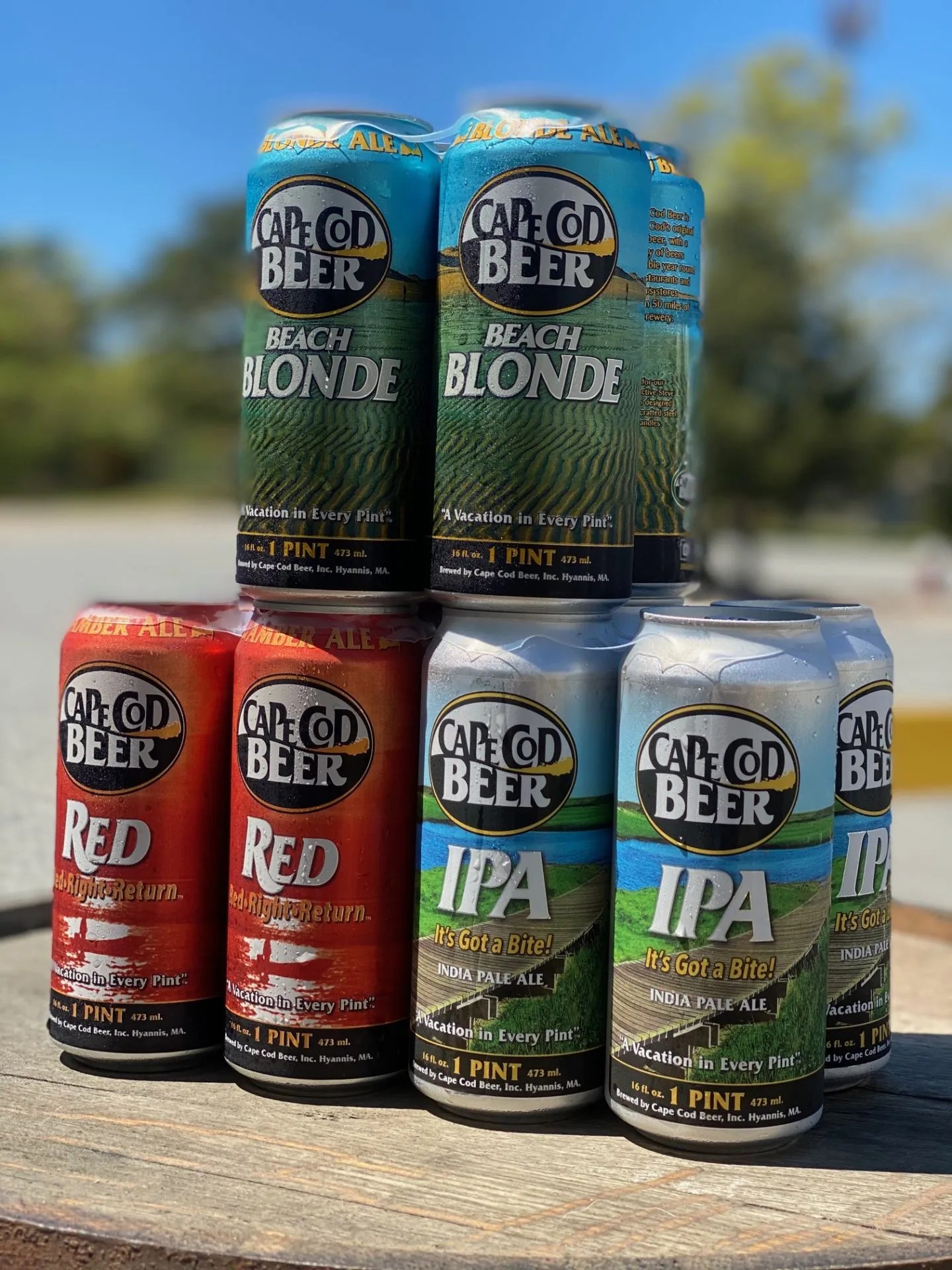 4 pack Cape Cod Beer Cape Cod Beer