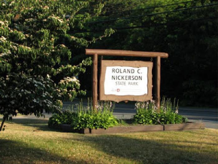 Nickerson State Park Trails
