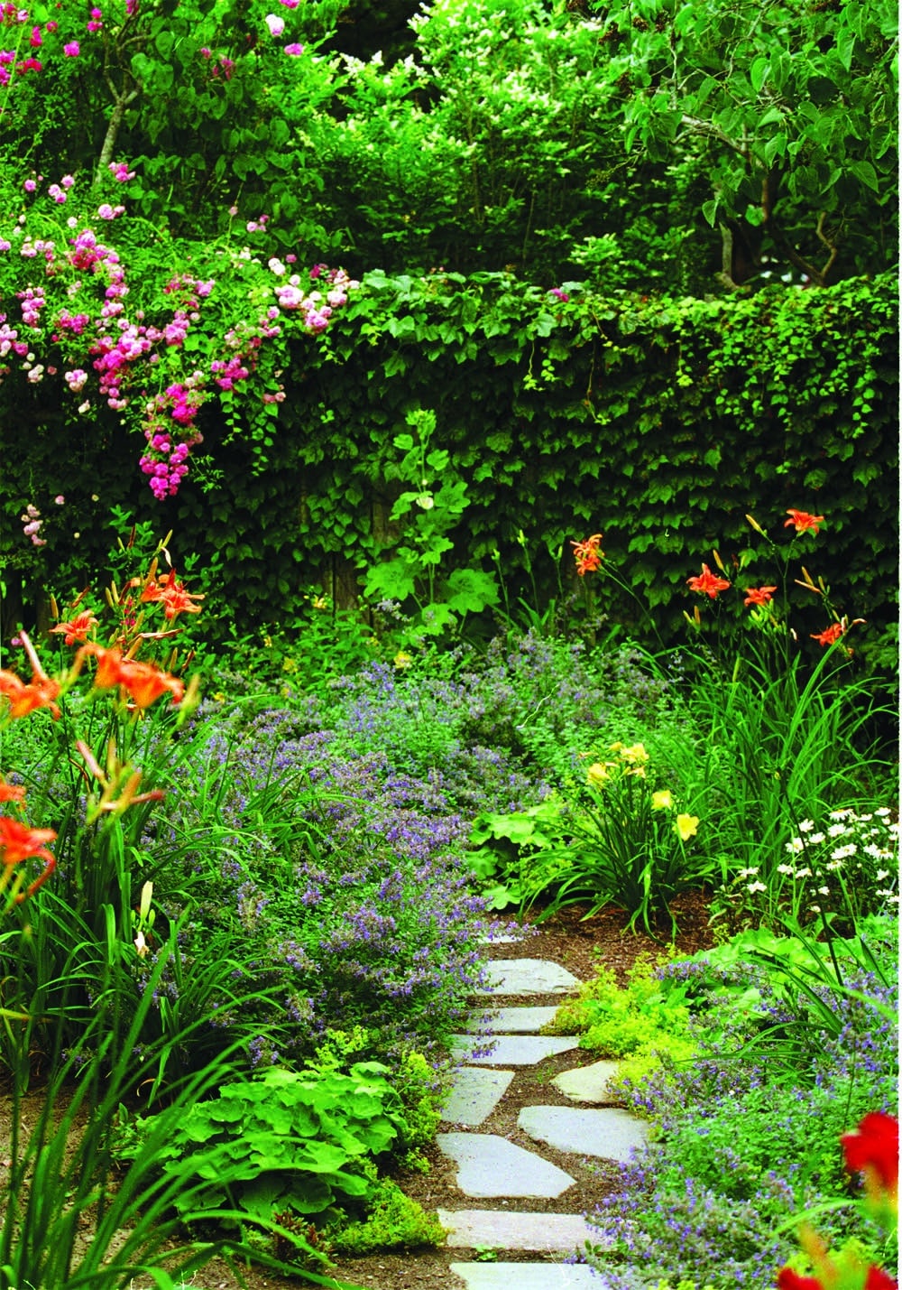 The lasting beauty of perennials Cape Cod LIFE Publications
