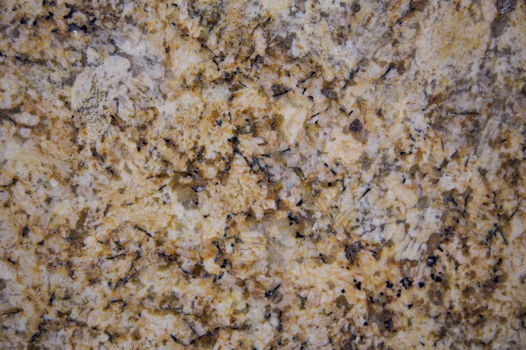 Granite Collection Cape Cod Quartz Countertops