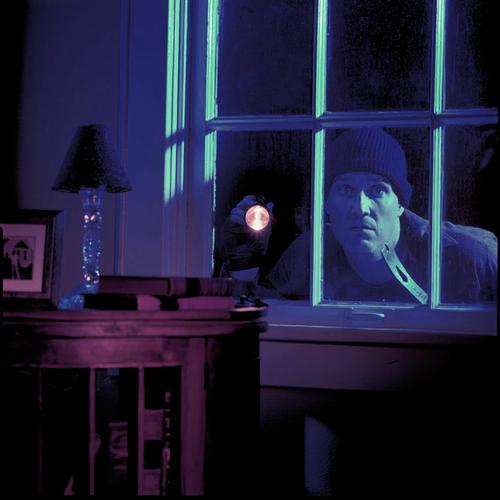 Burglary and House Breakin Statistics Cape Cod Security Patrol Services