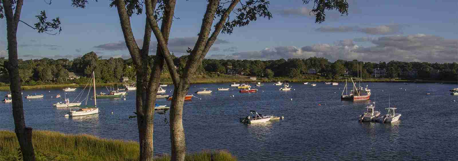 Lower Cape Cape Cod Star