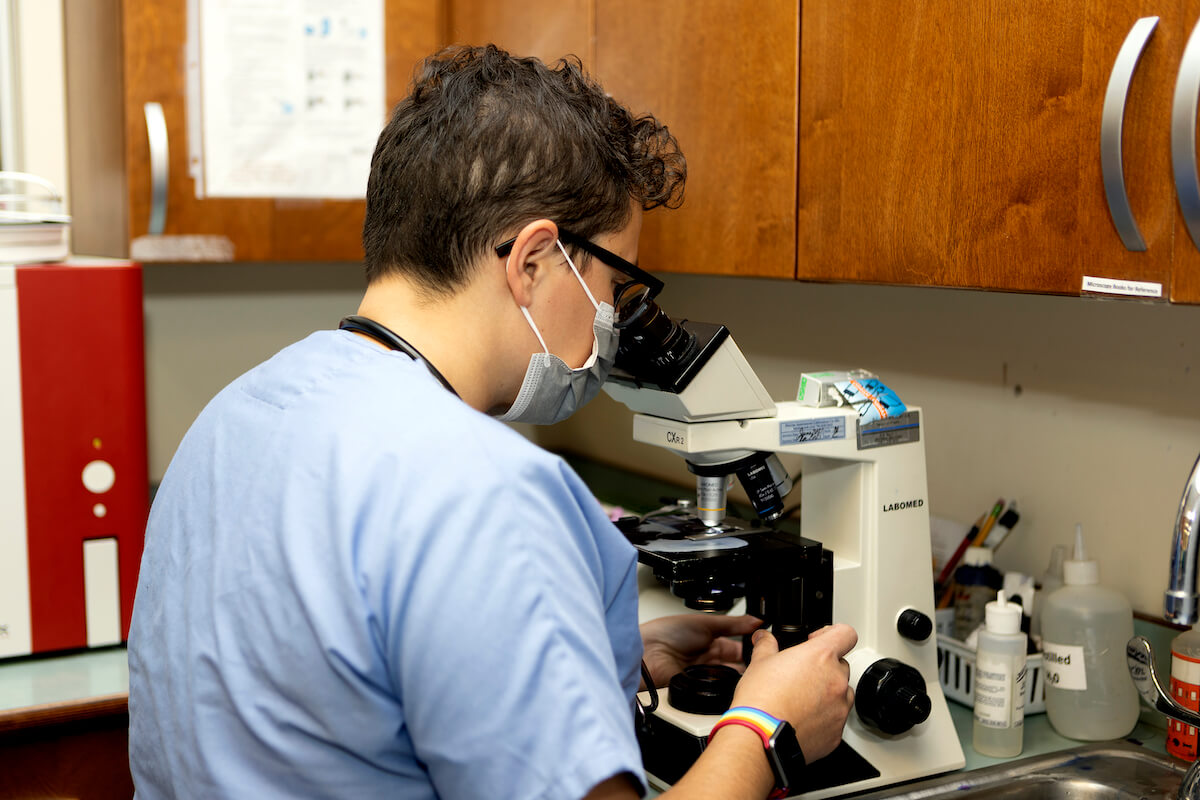 Buzzards Bay, MA Veterinary Jobs CCVS