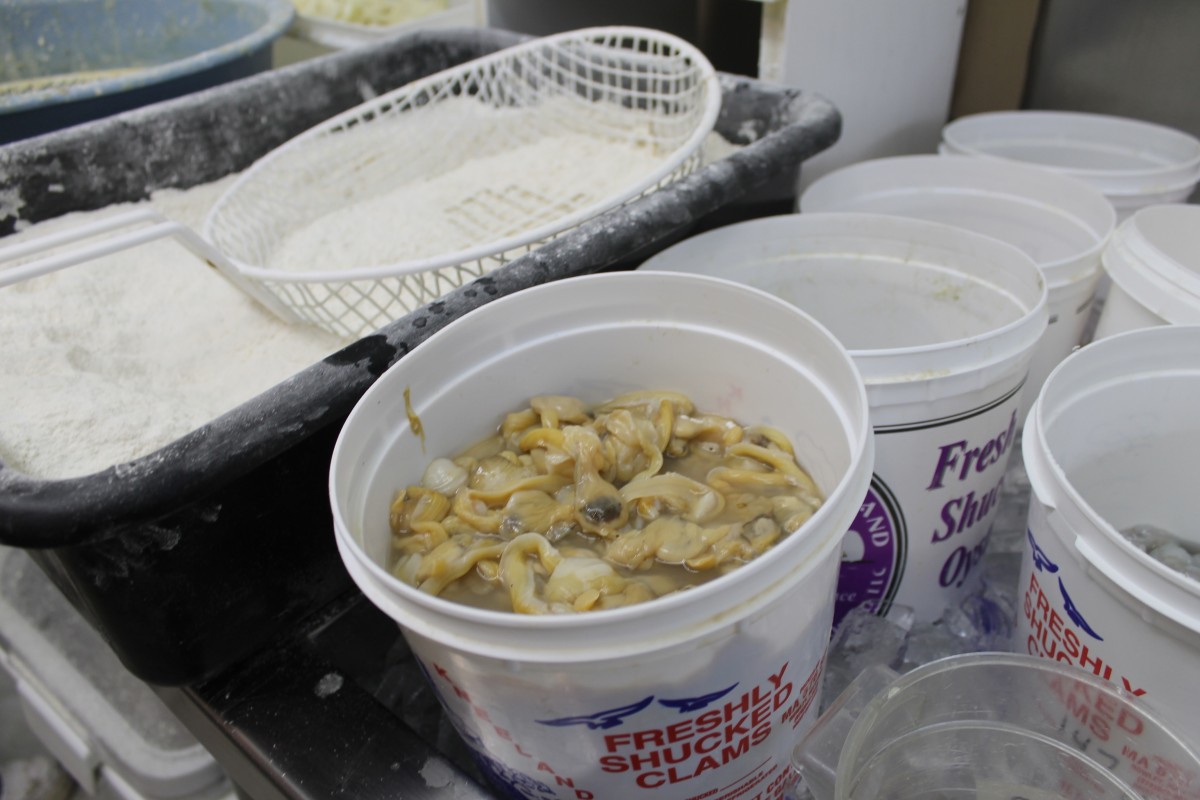 Cape Cod Best Fried Clams at Latanya Clever blog