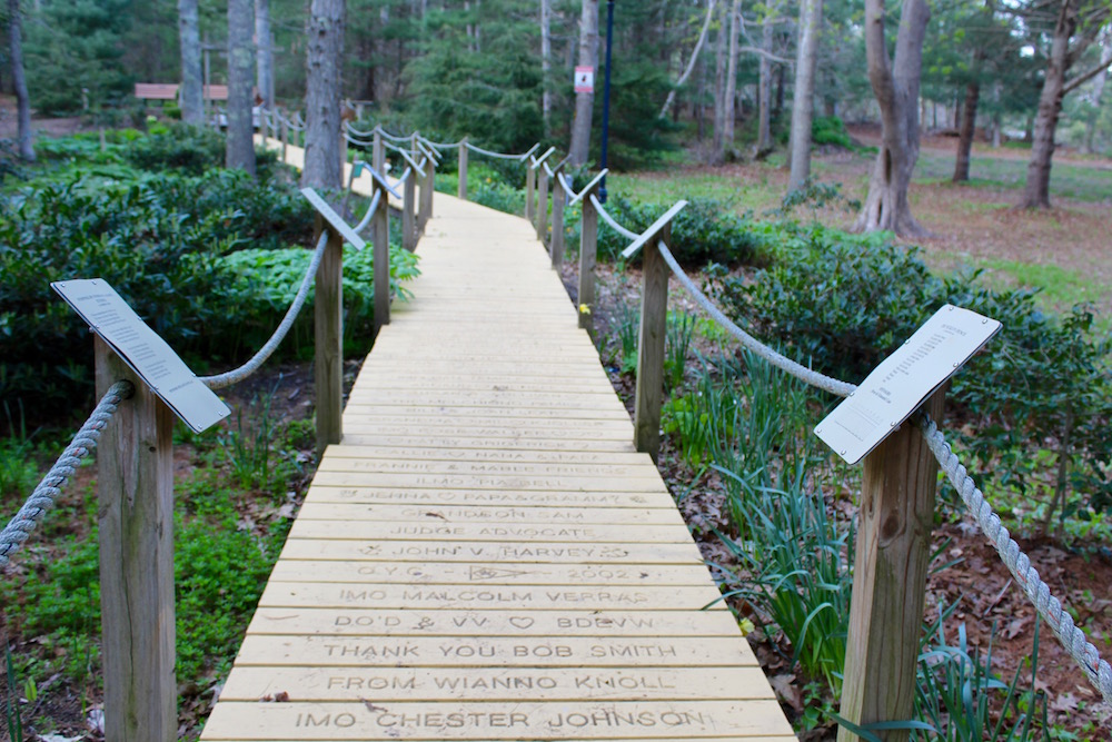 Just Me & The Bees at ArmstrongKelley Park in Osterville Cape Cod Wave