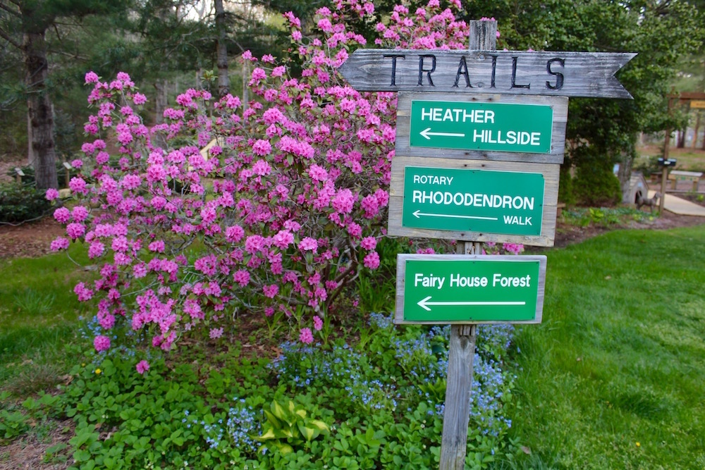 Just Me & The Bees at ArmstrongKelley Park in Osterville Cape Cod Wave