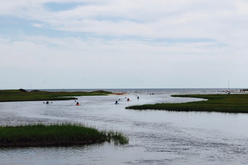 Swan River Kayak Parade Slideshow Cape Cod Wave