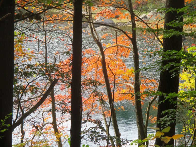 Long Walk Around Long Pond Slideshow Cape Cod Wave