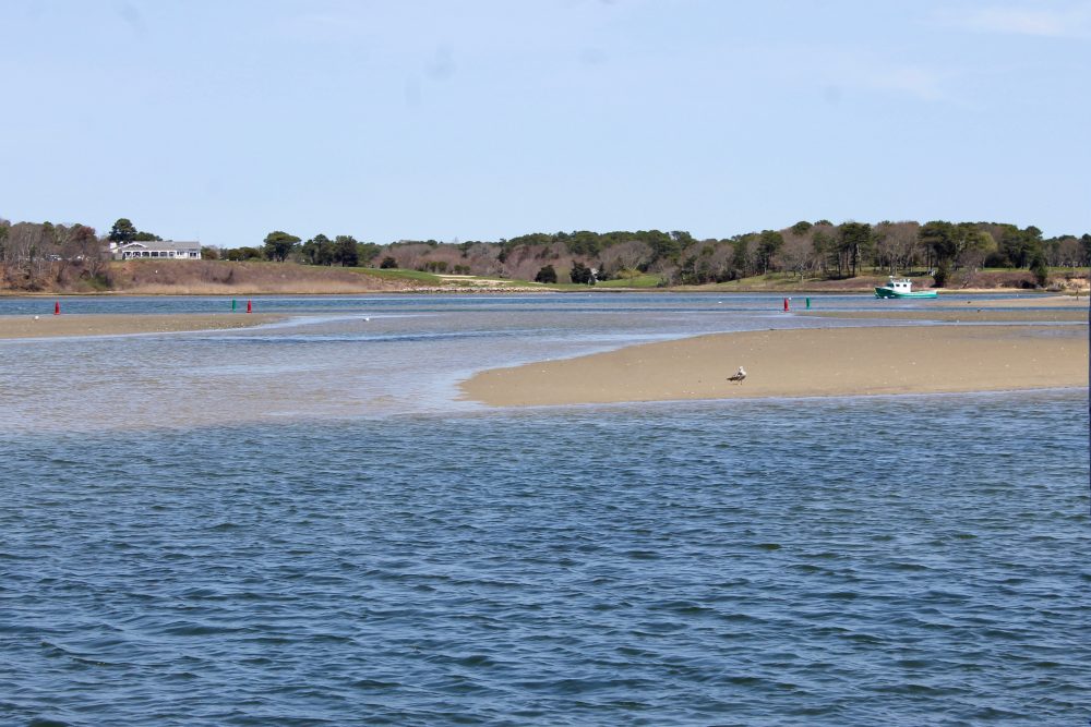 Bass River Park, Low Tide Slideshow Cape Cod Wave