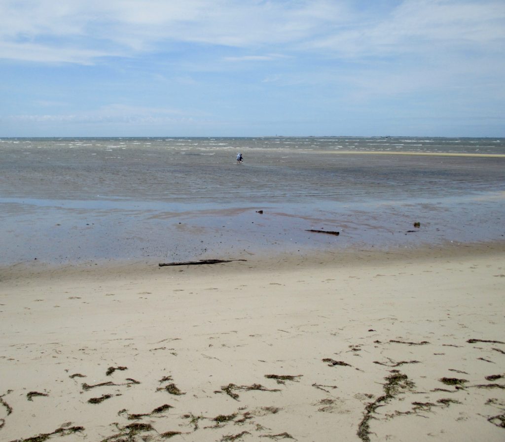 Provincetown Low Tide & Whitecaps Slideshow Cape Cod Wave