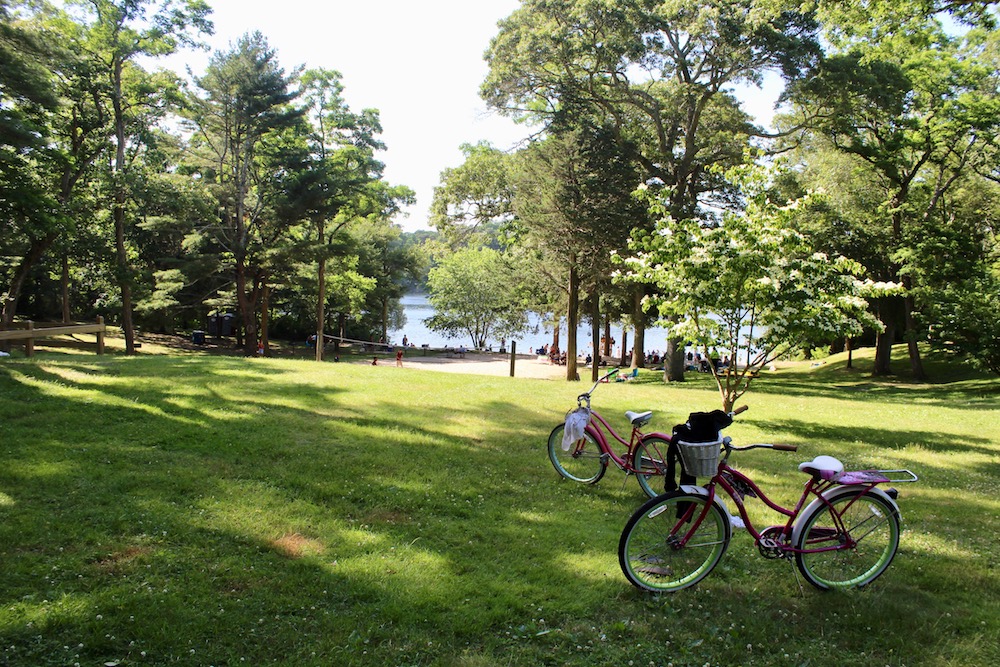 OverCrowding Closes Goodwill Park July 4 in Falmouth Cape Cod Wave