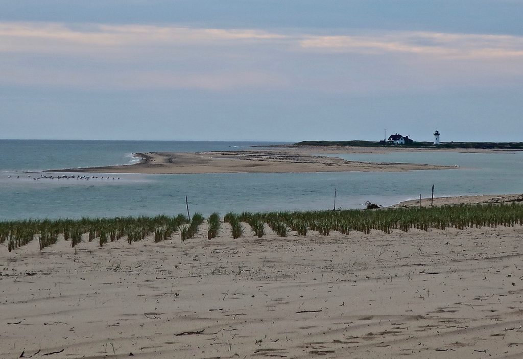 New Herring Cove Beach Parking Lot Slideshow Cape Cod Wave