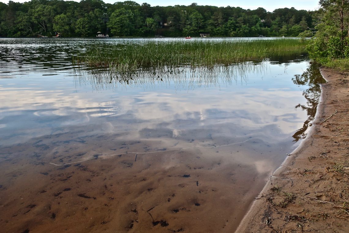 Sand Pond, Harwich Slideshow Cape Cod Wave