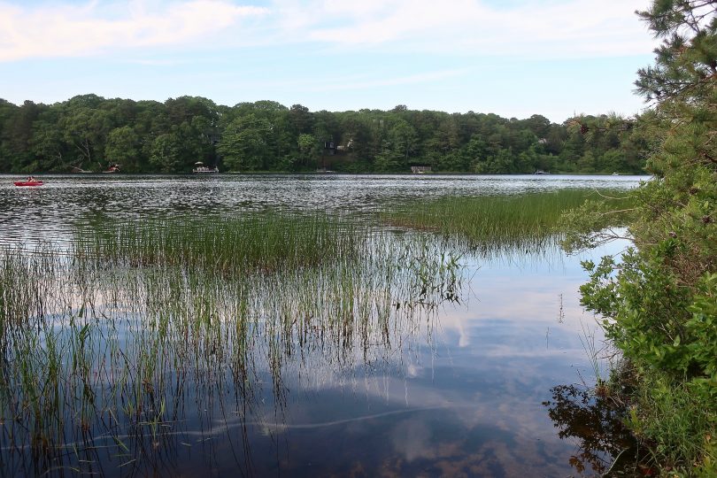 Sand Pond, Harwich Slideshow Cape Cod Wave