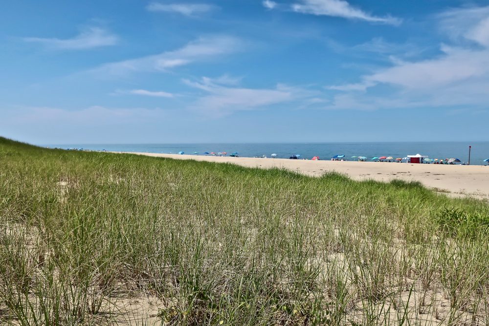 Hot Day At Head Of The Meadow Beach Slideshow Cape Cod