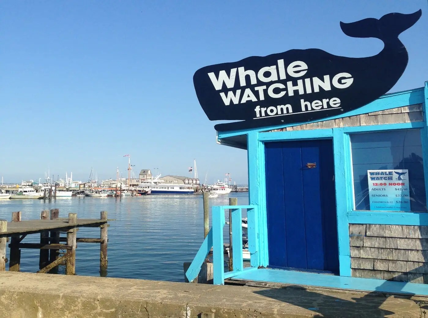 Cape Cod Boating Adventures Cape Cod Xplore