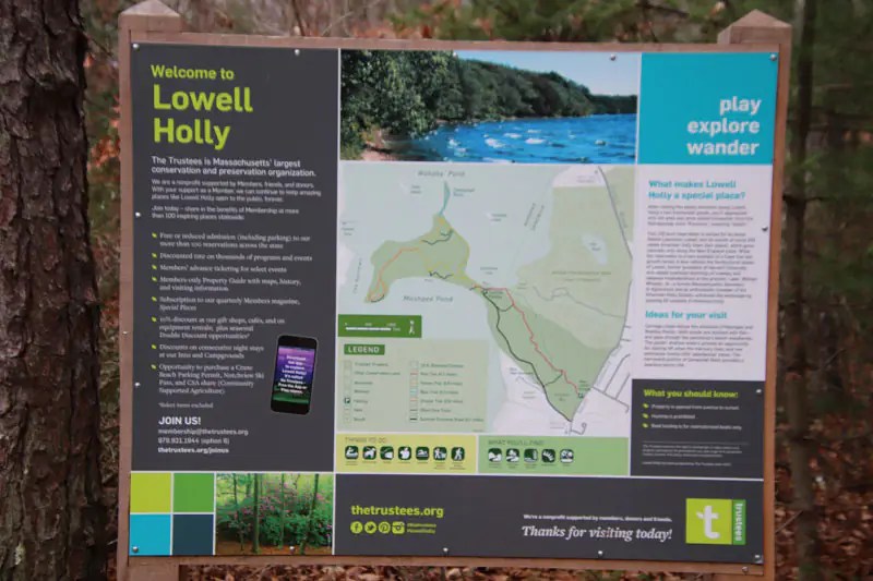 Hiking The Lowell Holly Reservation In Mashpee, MA