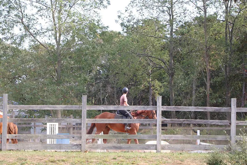 Kids Summer Day Camps On Cape Cod 2023