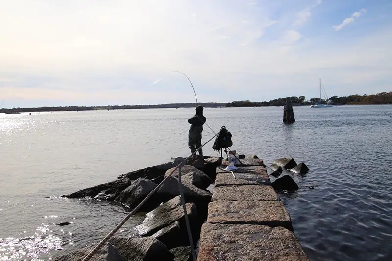 Surfcasting On Cape Cod Six Amazing Fishing Spots