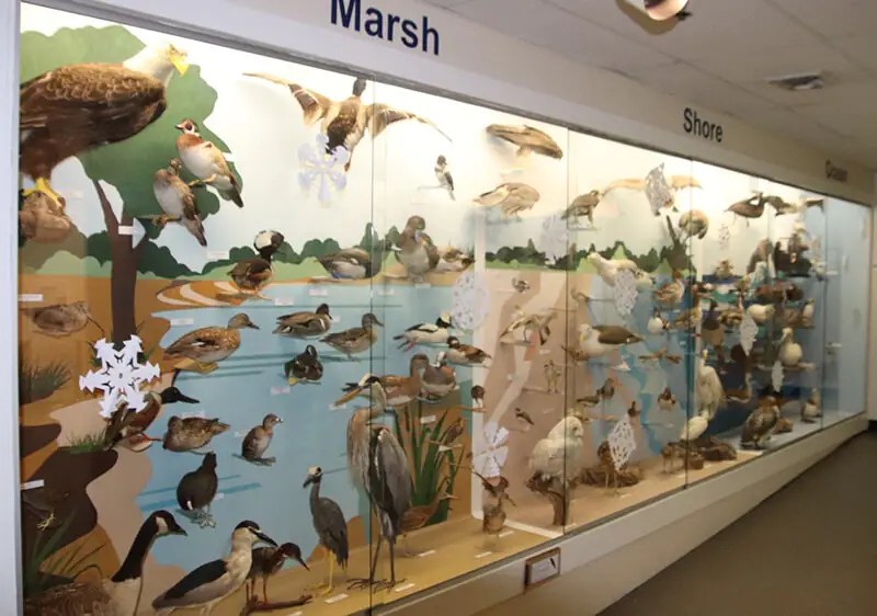 14 Exciting Museums For Children On Cape Cod Xplore