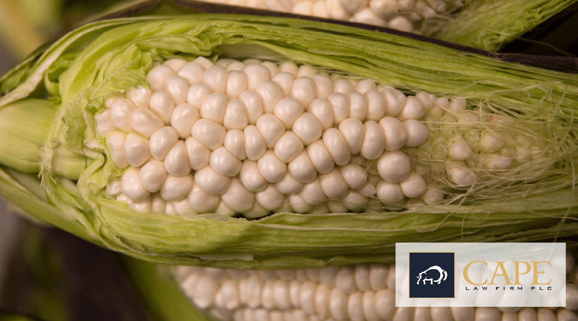 Heirloom Corn's Flavor Premium, and More Cape Law