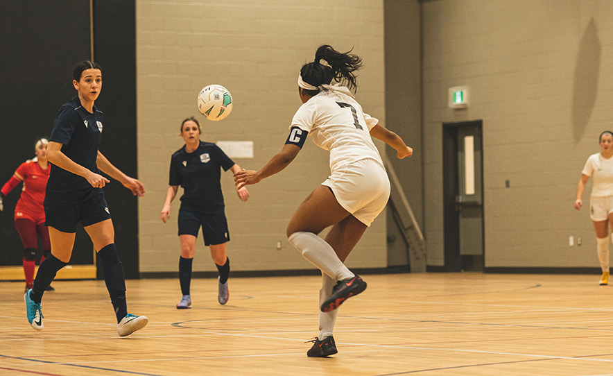 Leagues Capelli Sport Complex