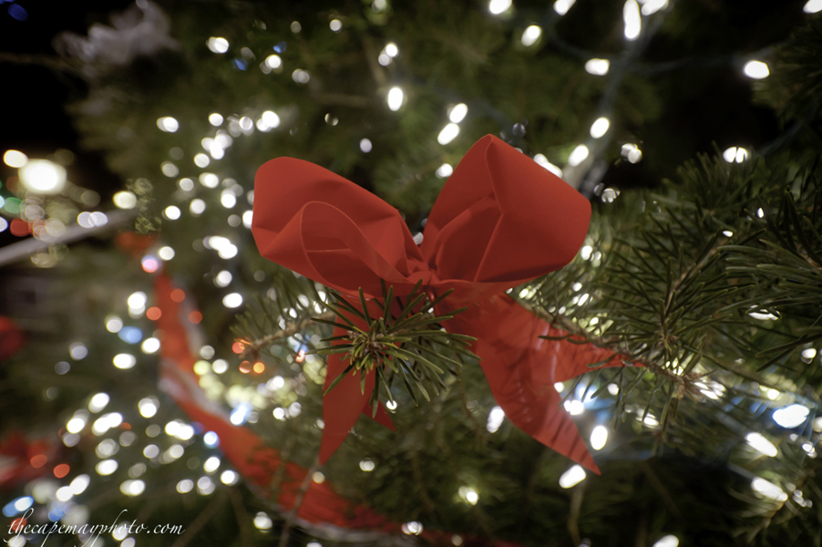 Cape May Christmas Tree Lighting Ceremony in Rotary Park