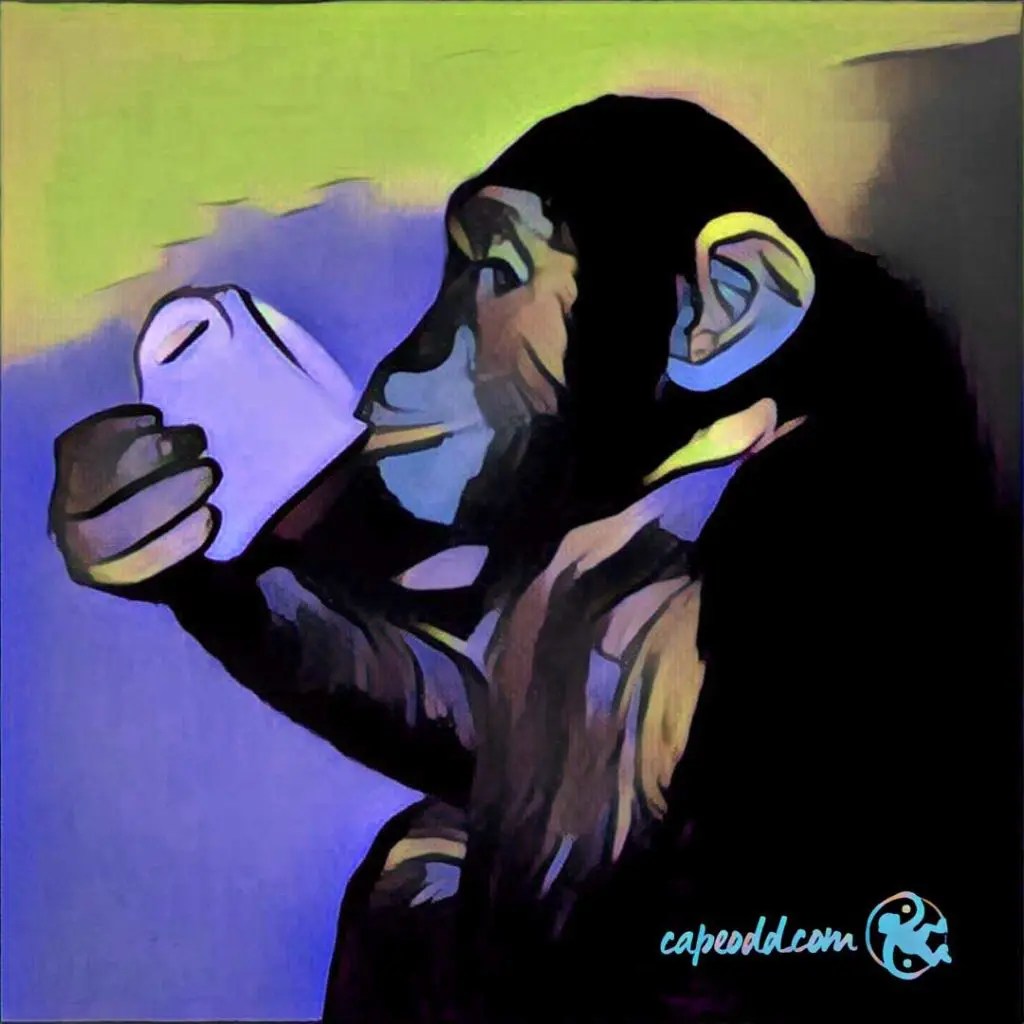 Monkey Drinking Coffee Cape Odd