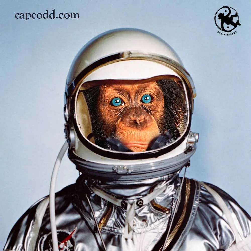 Shake and Wake Cape Odd