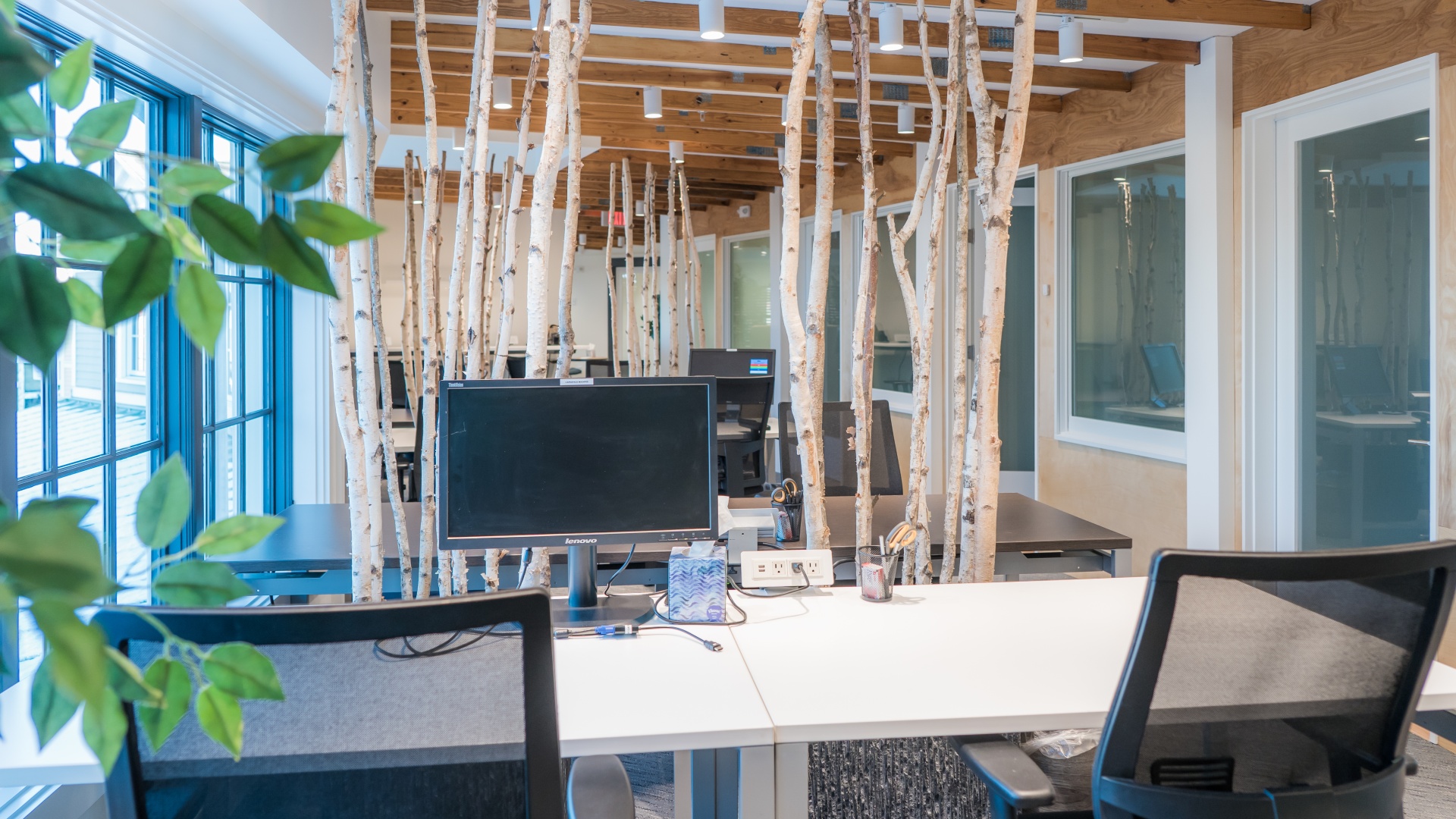 Professional Zoom Backgrounds CapeSpace