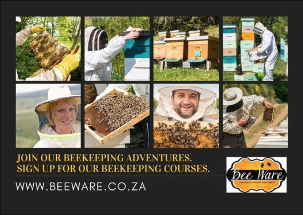 Bee Training Institute Bee Ware Cape Town