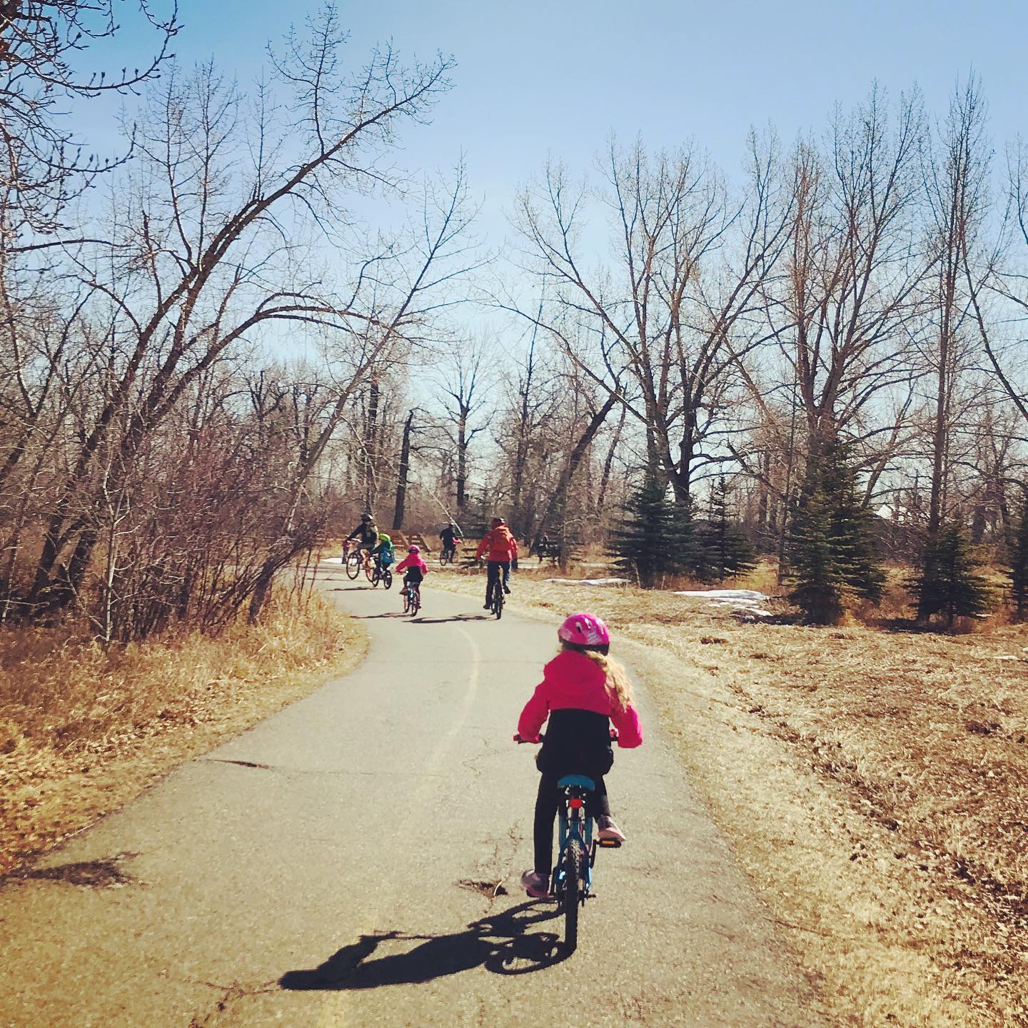 Family bike rides in Calgary Cape Town to Calgary