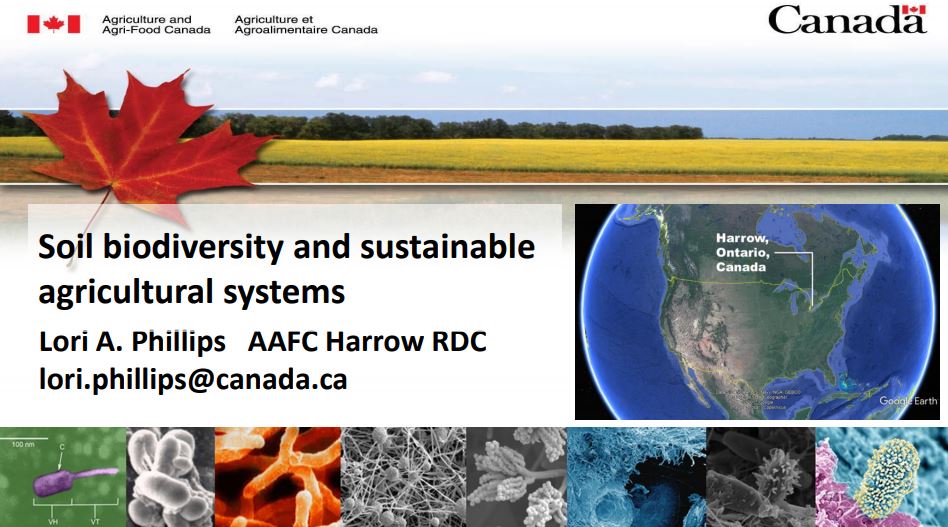 Soil Biodiversity and Sustainable Agricultural Systems Canadian Agri
