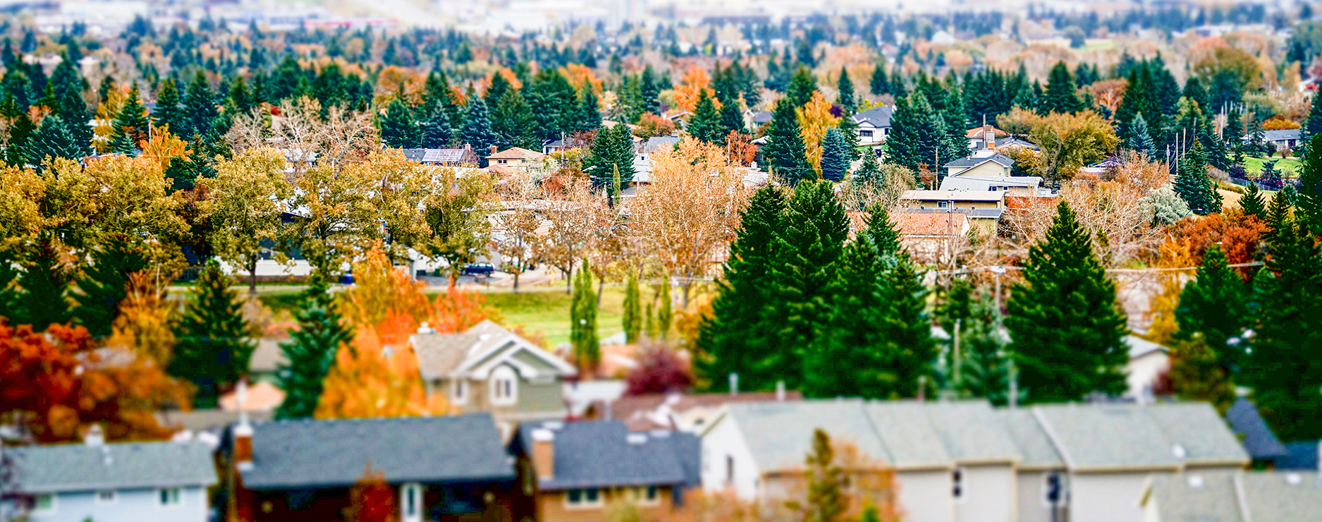 MaxWell Capital Realty Southern Alberta Real Estate