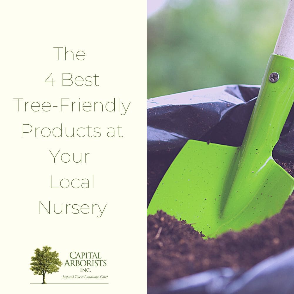 The 4 Best TreeFriendly Products at Your Local Nursery Capital Arborists