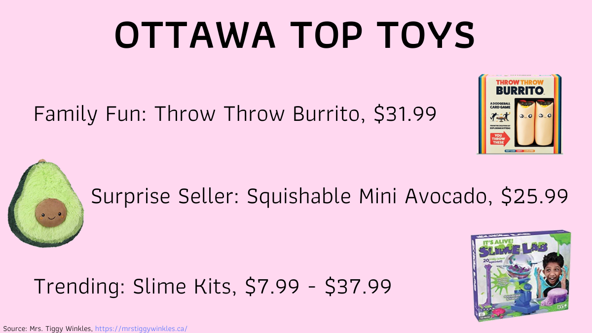 Ottawa toy stores offer surprising bestsellers this holiday season