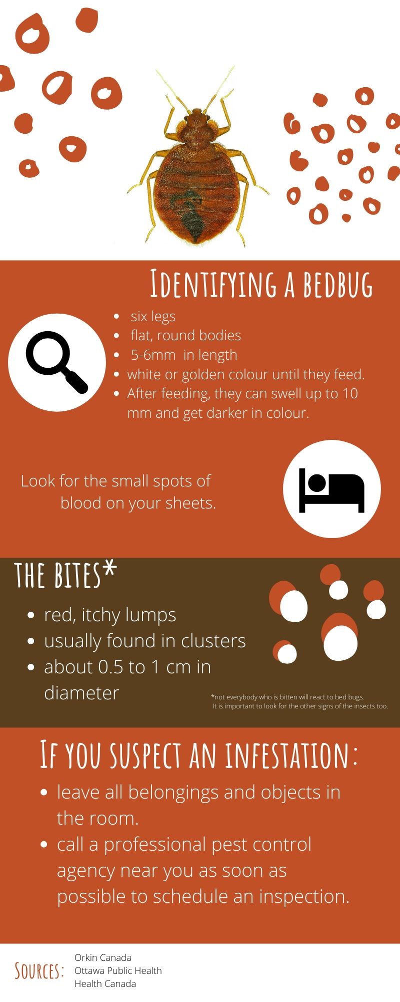 Student seeks compensation after battling bed bug infestation Capital