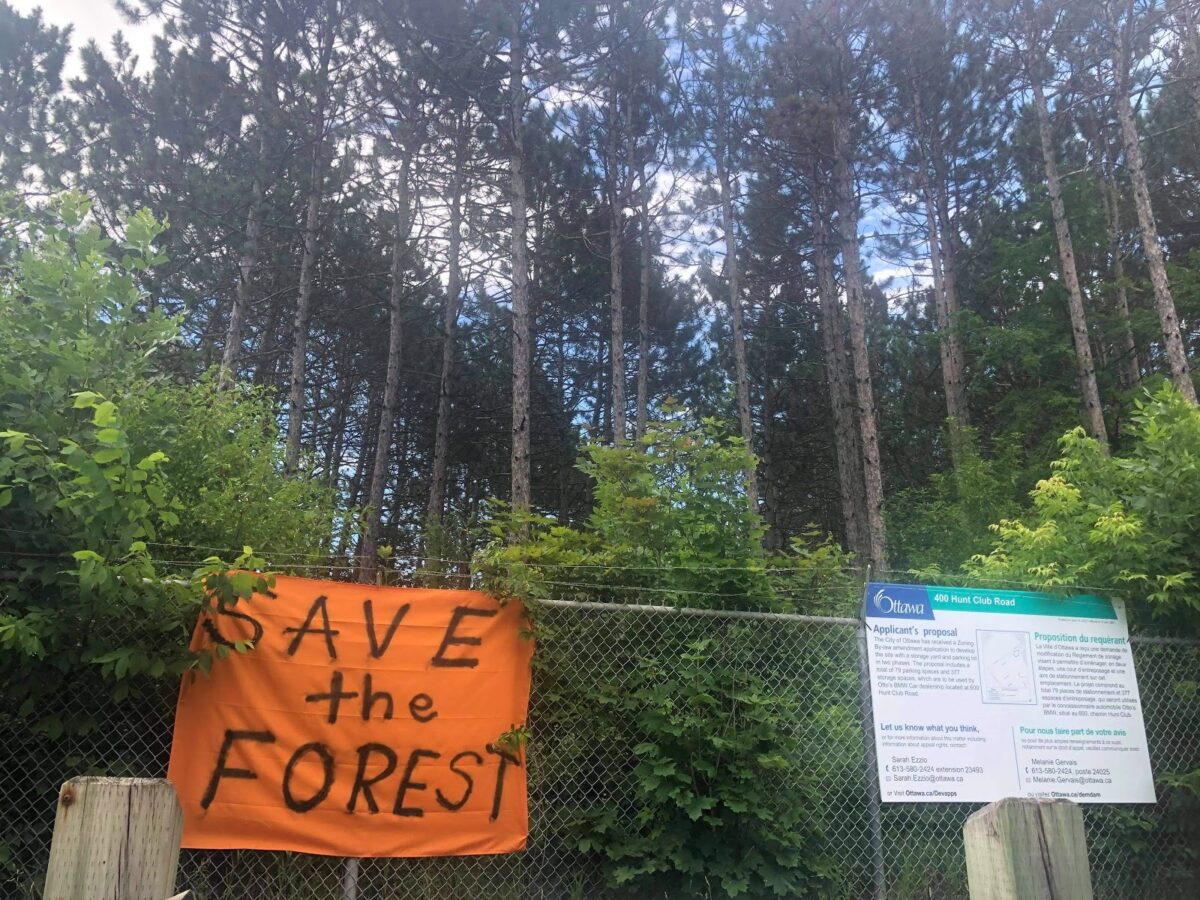 Local residents rally to protect Hunt Club Forest from development Capital Current