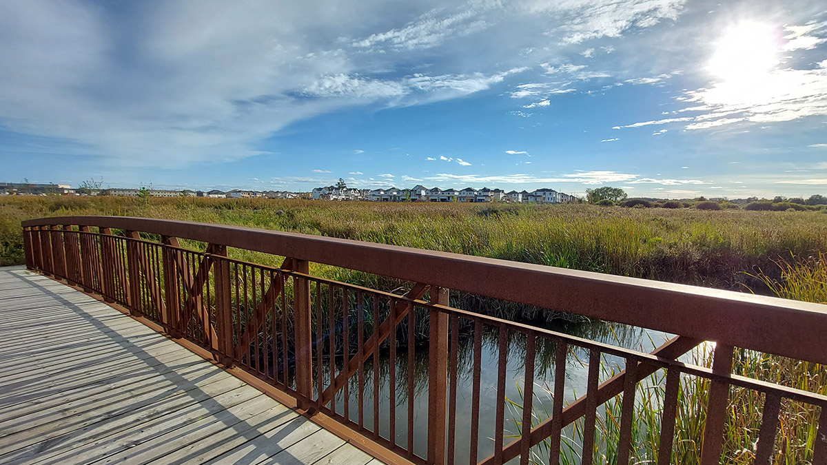 Carp River restoration project supports biodiversity, enriches
