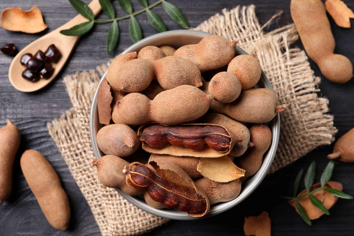 Como cultivar tamarindo a partir da semente?