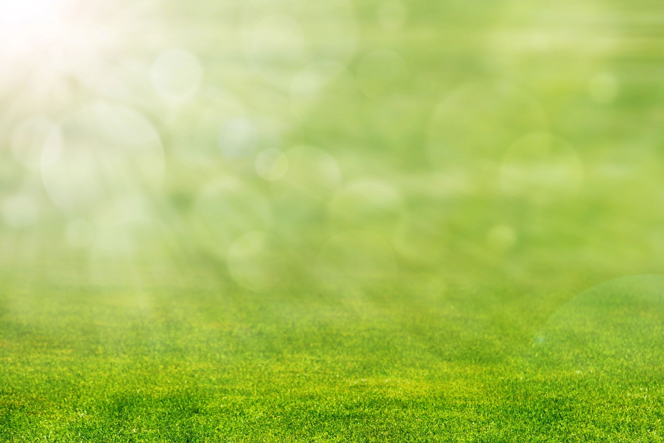 Soil Restoration In Des Moines Capital Landscaping