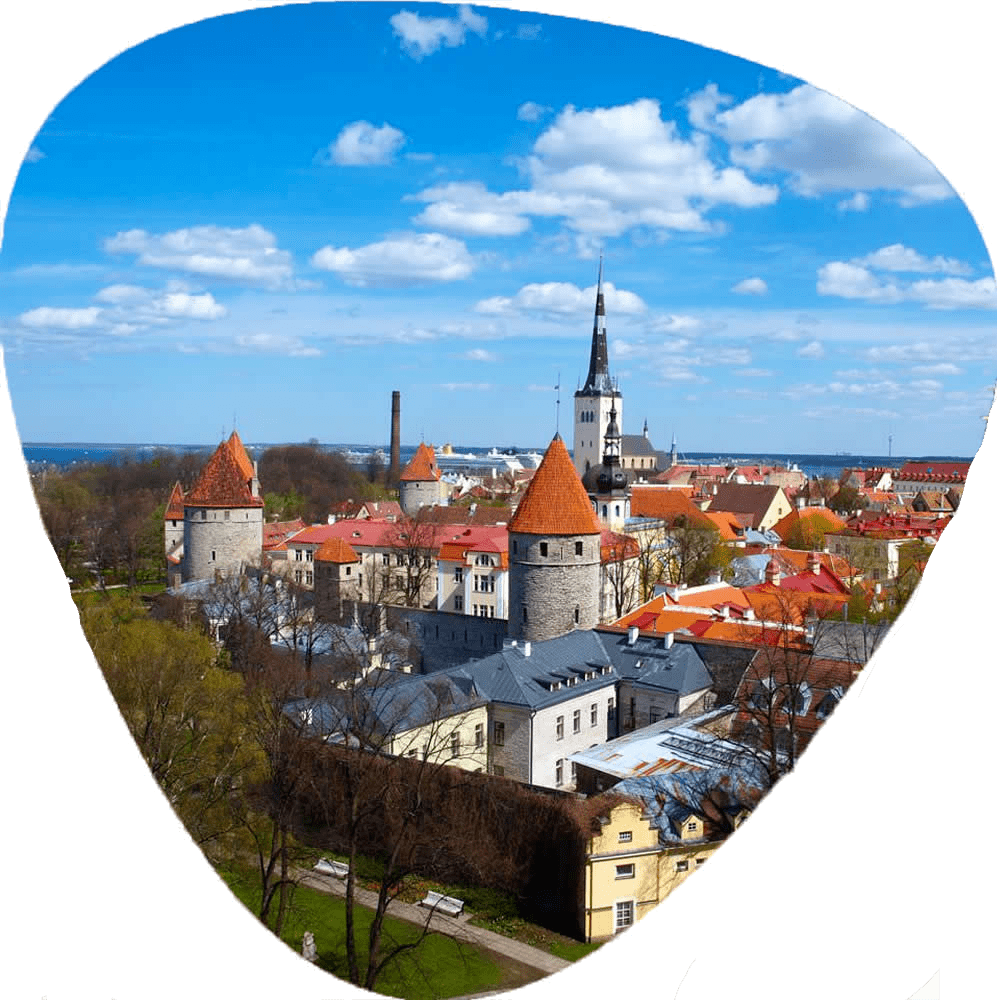 Estonian Interpreting & Translation Services Capital Linguists