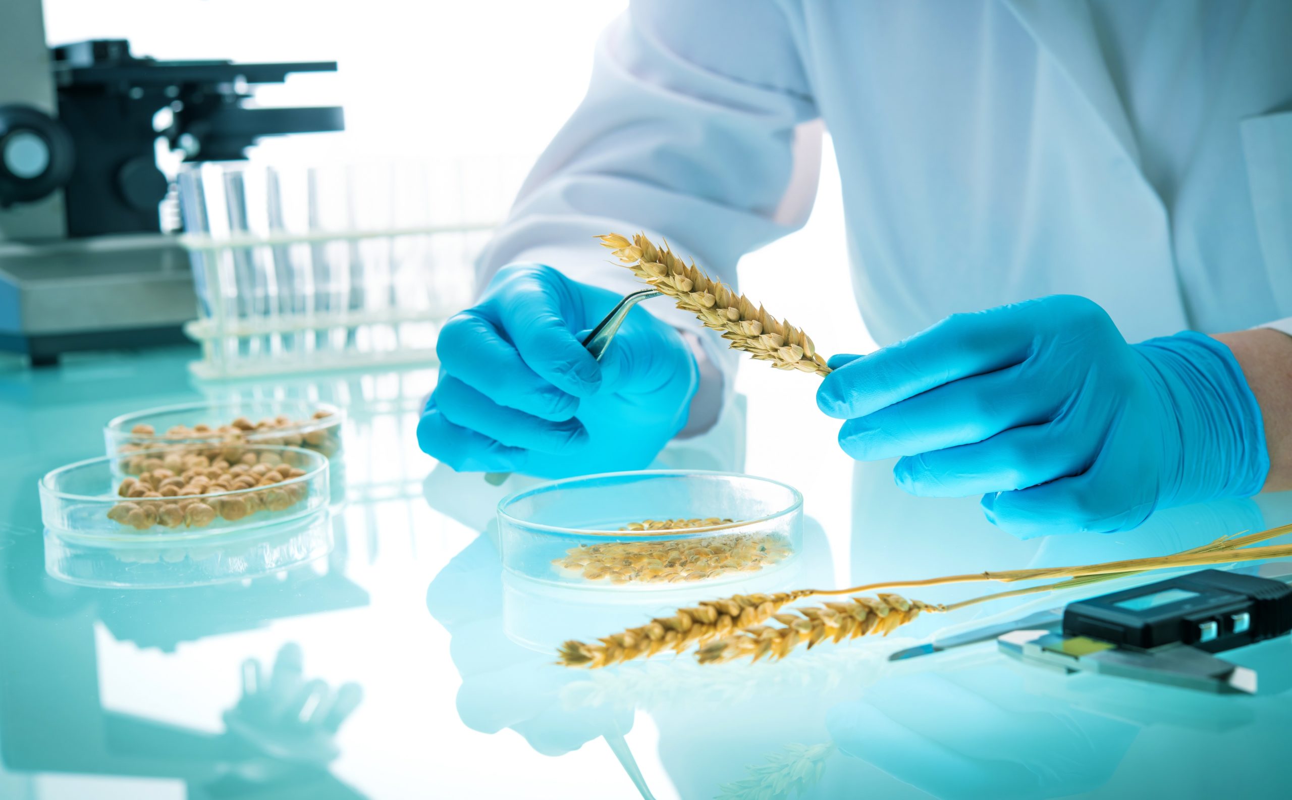 Testing, Inspection and Certification report 2020 Capitalmind Investec