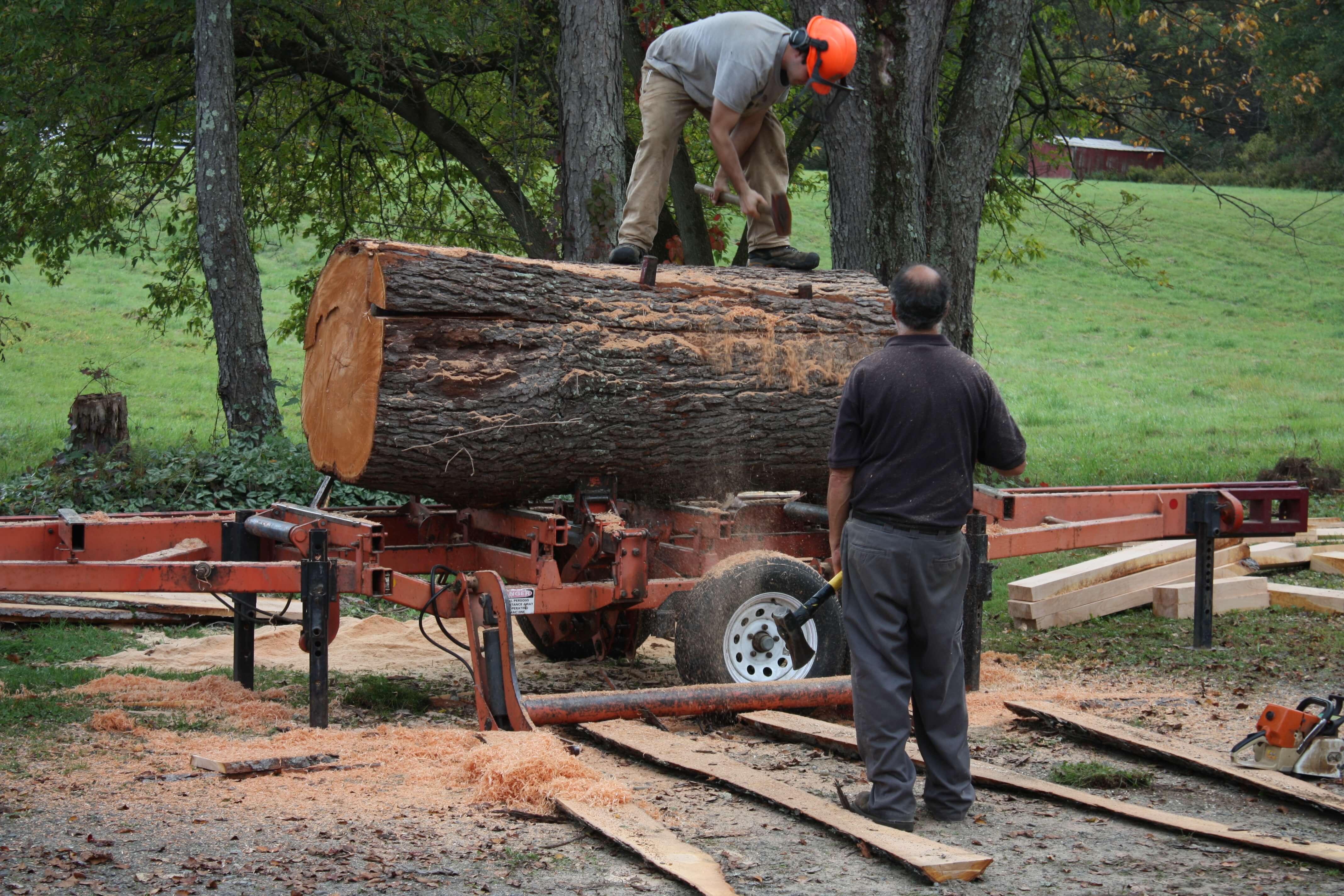 Capital Sawmill Albany NY Tree Service NY Tree Removal, Custom