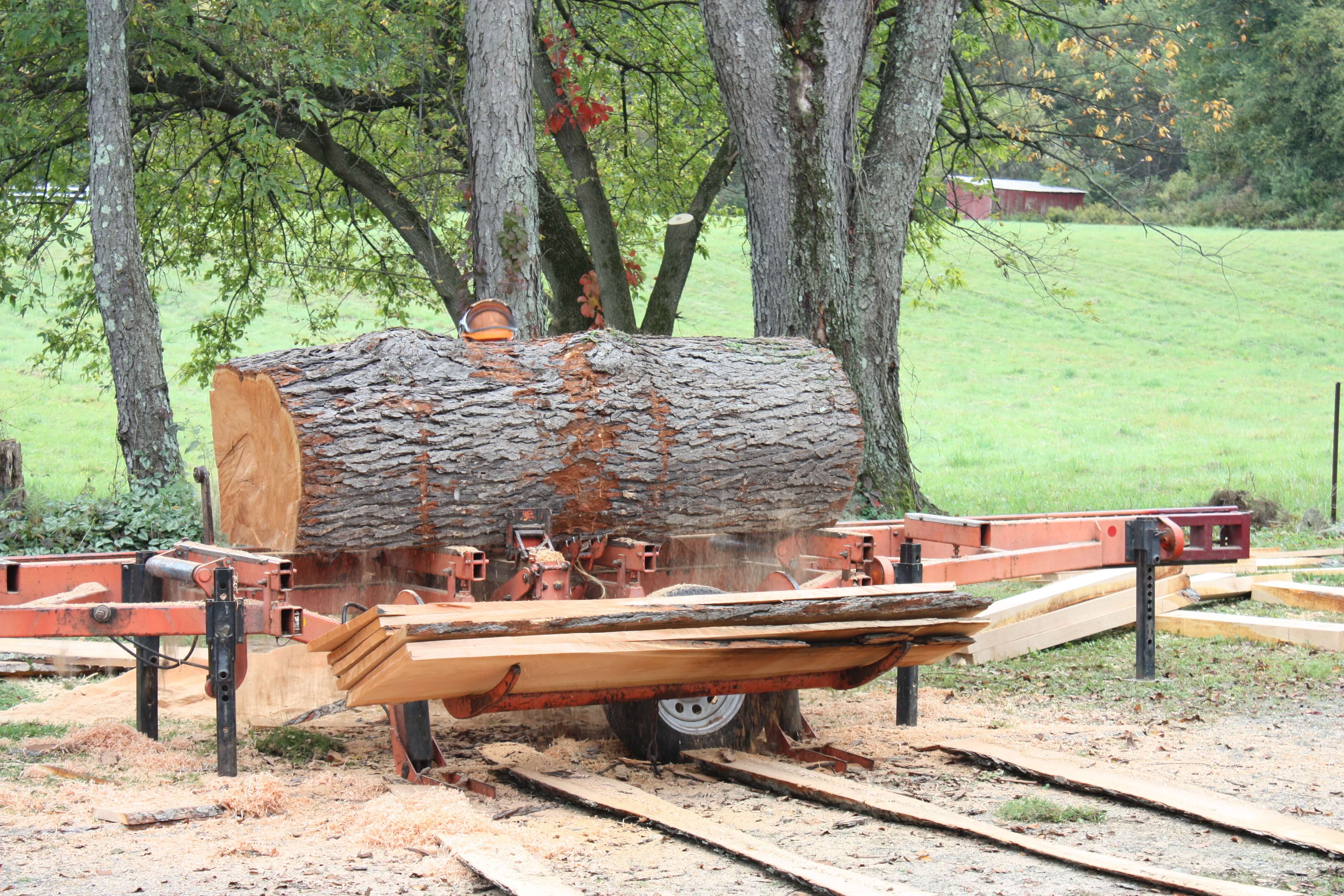 Blog Capital Sawmill