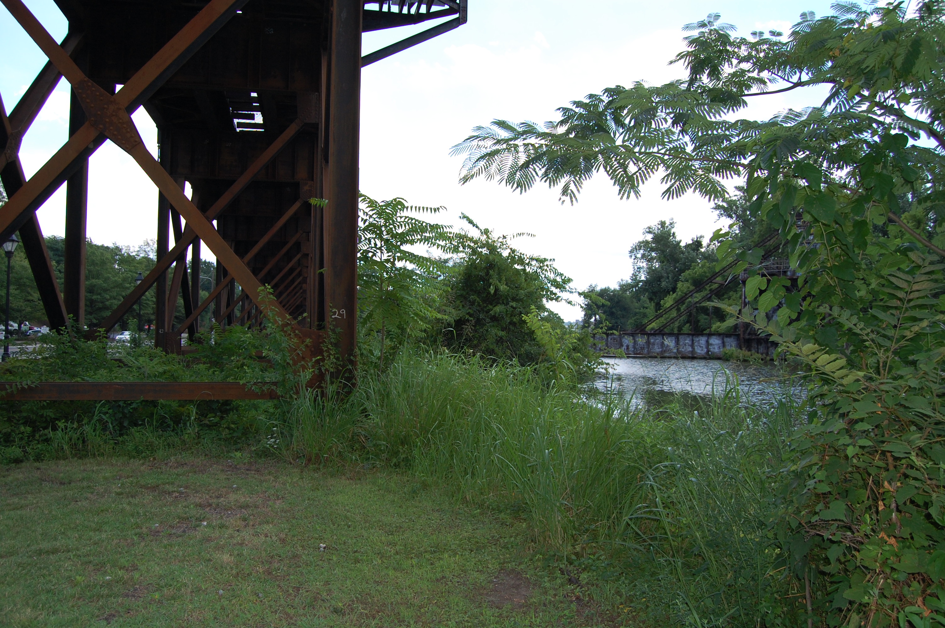 dock walk Capital Trees